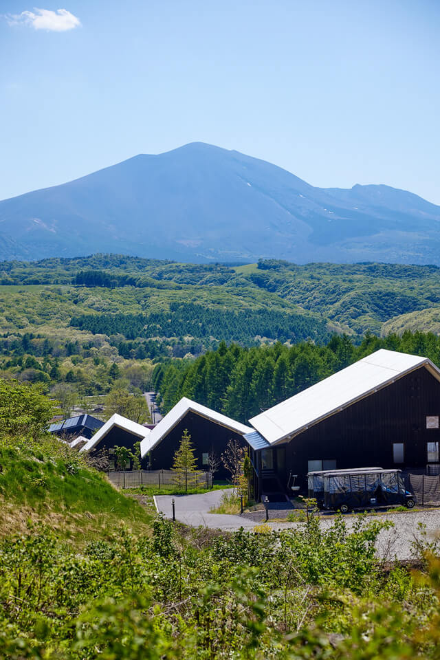 空山望