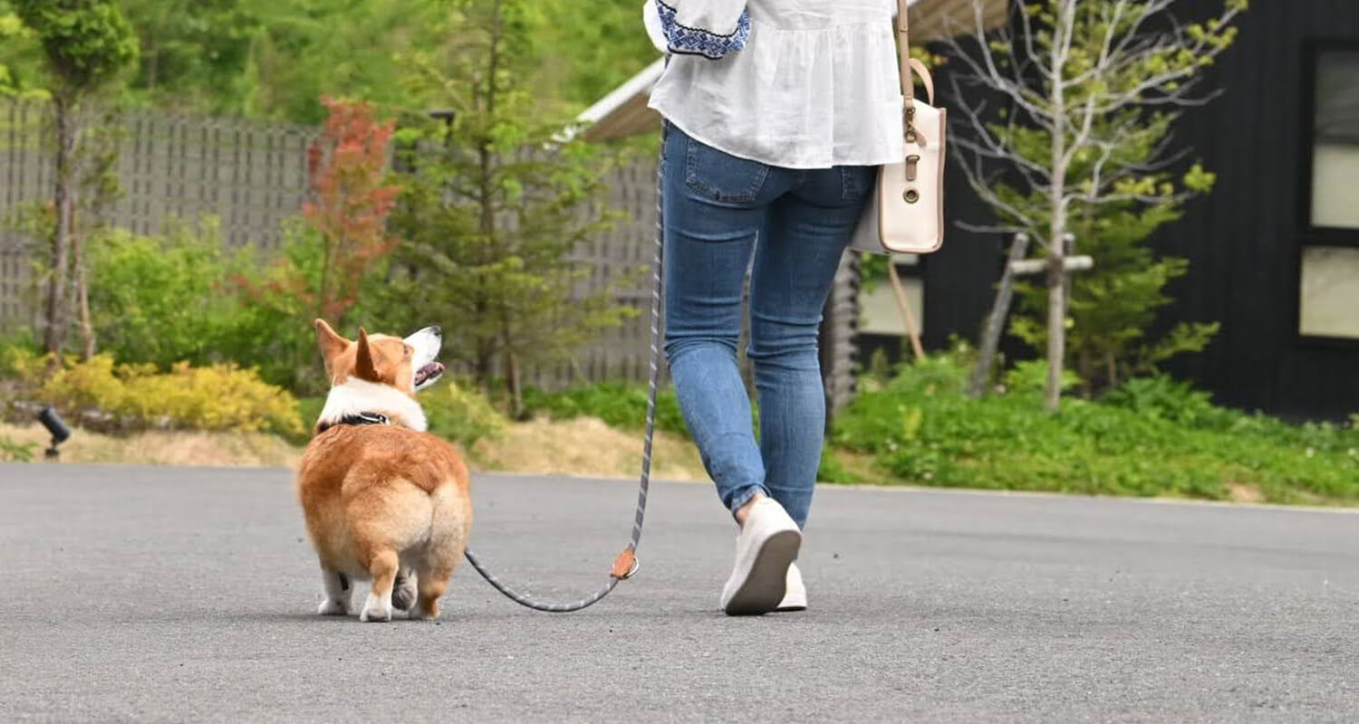 軽井沢｜愛犬・ペットと泊まれるヴィラリゾート