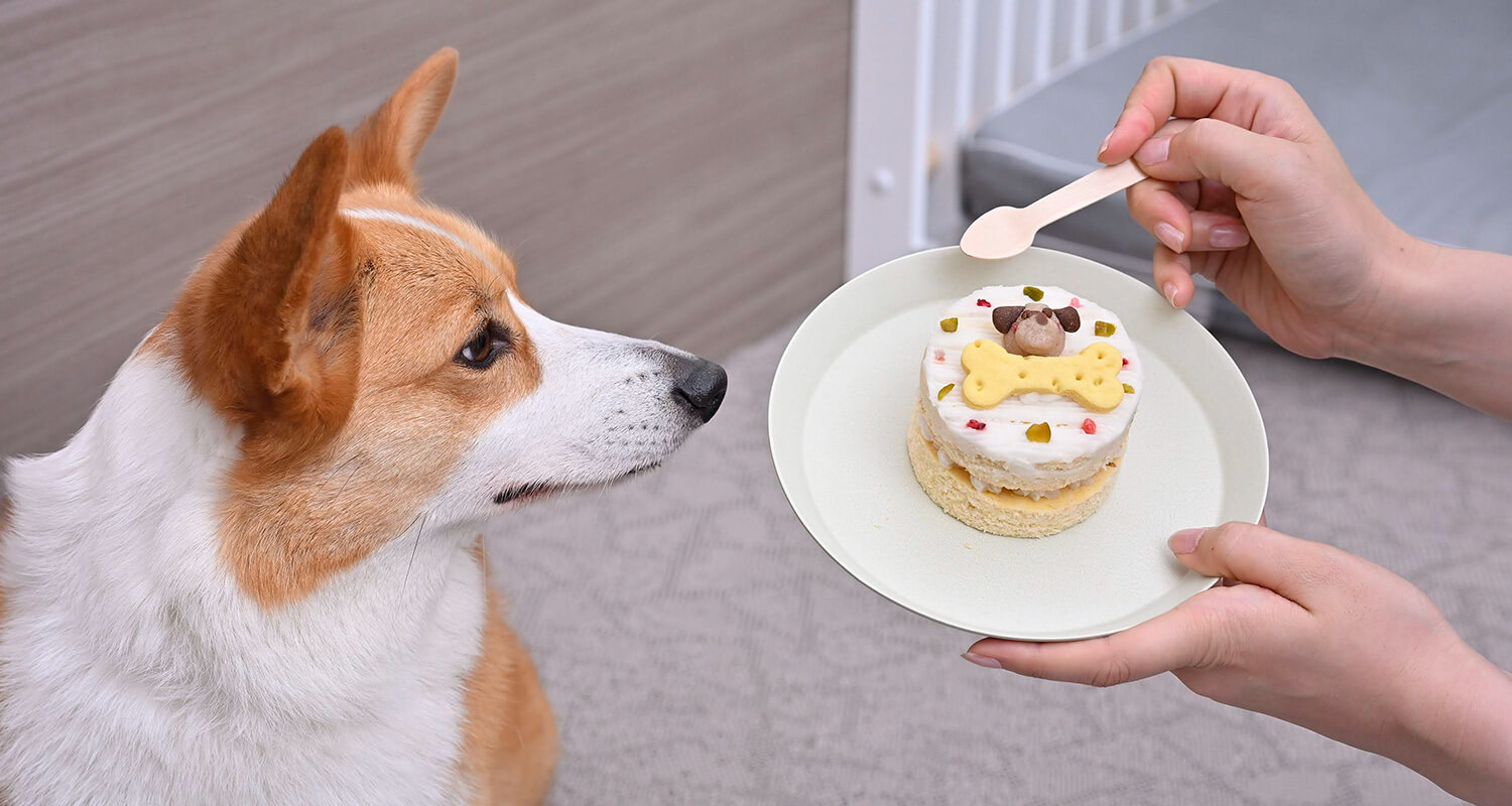 愛犬と食事・天空散歩を楽しめる｜愛犬・ペットと泊まれる軽井沢・北軽井沢のヴィラリゾート