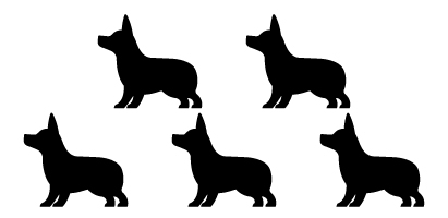 小・中型犬 20㎏未満:×5