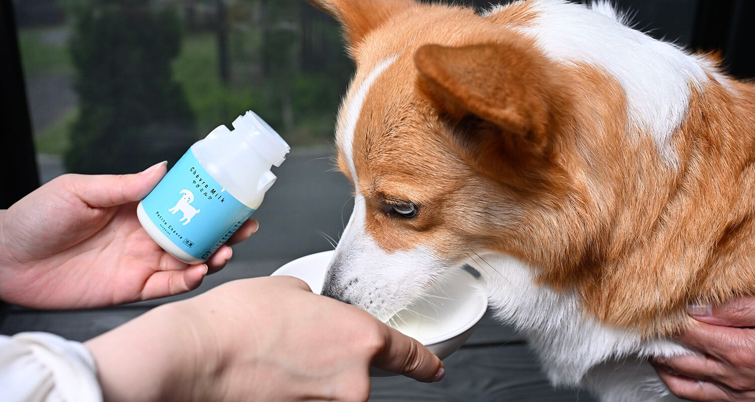 犬用ヤギミルク｜愛犬・ペットと泊まれる軽井沢・北軽井沢のヴィラリゾート