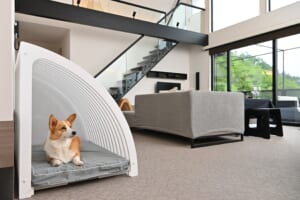 interpet-polaris dog suite