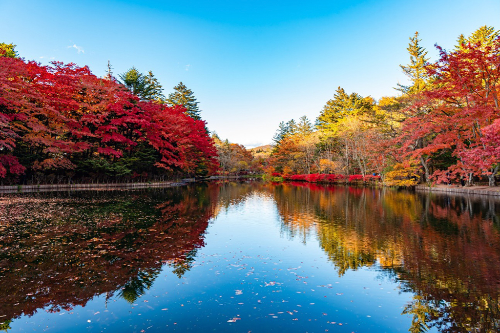 軽井沢の紅葉スポットの雲場池