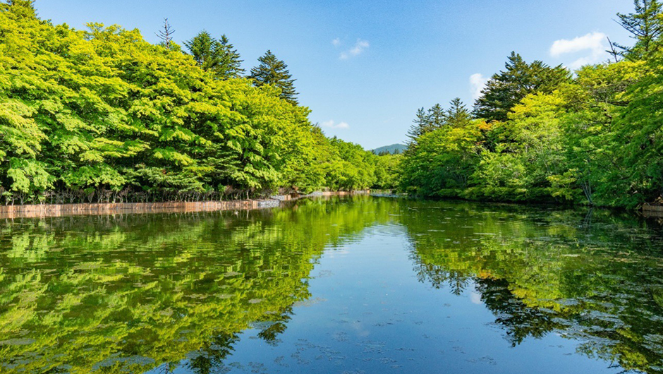 長野県の軽井沢にある雲場池