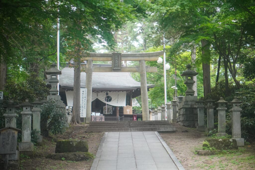 草津温泉 白根神社の桜
