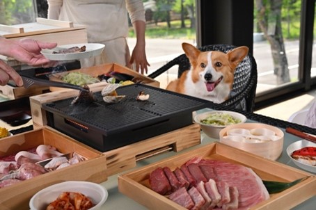 愛犬と楽しむバーベキューランチ