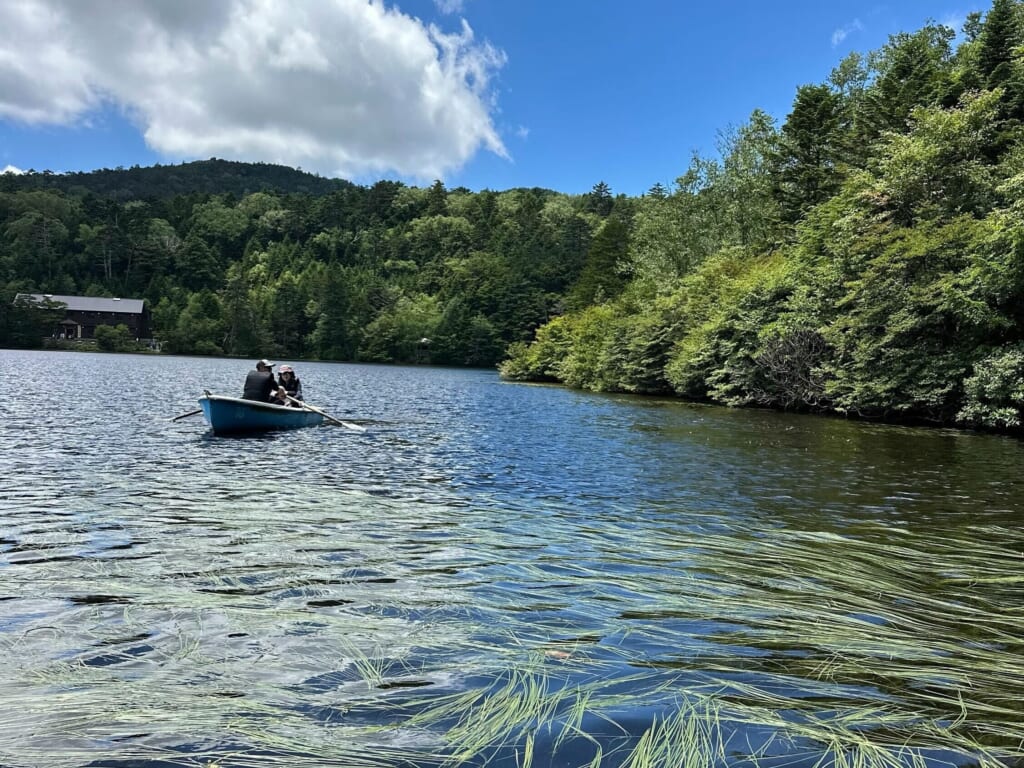 Yatsugatake Area