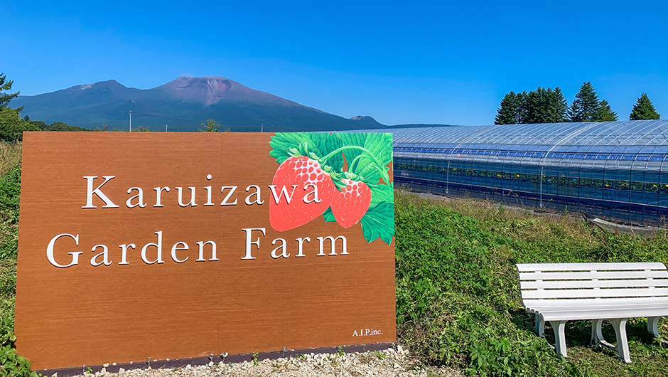 Year-Round Strawberry Picking at Karuizawa Garden Farm: All-Weather Fruit Experience