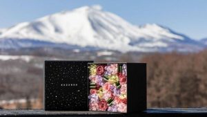 あさま空山望とニコライバーグマンのプリザーブドフラワーボックス